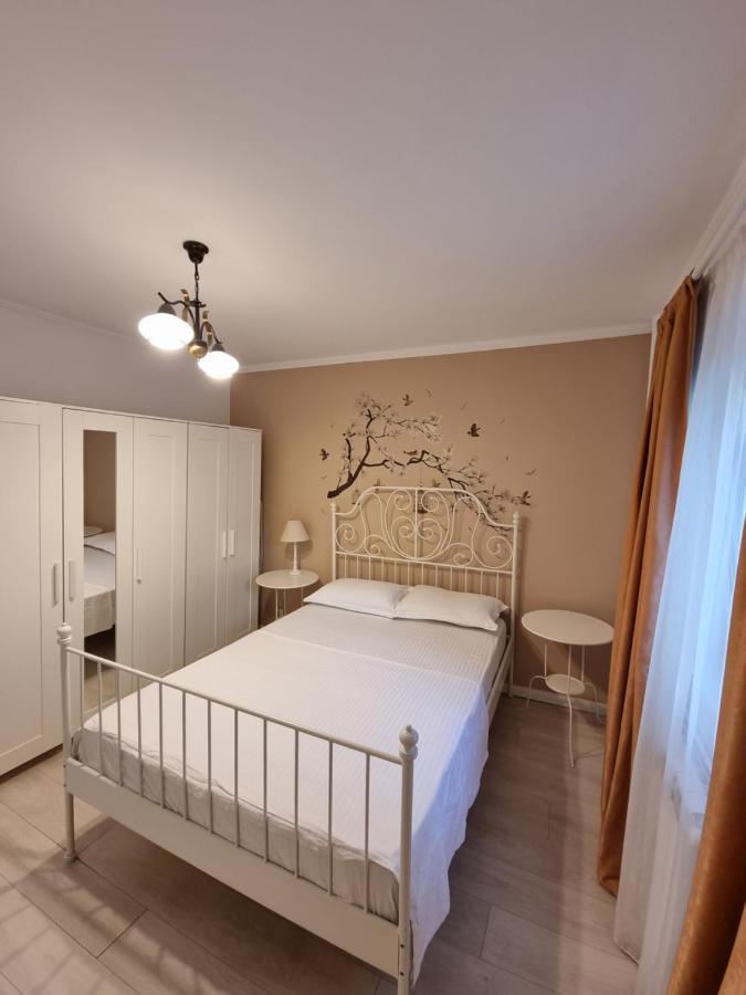 Apartments In The Aviatiei Area On 부쿠레슈티 외부 사진